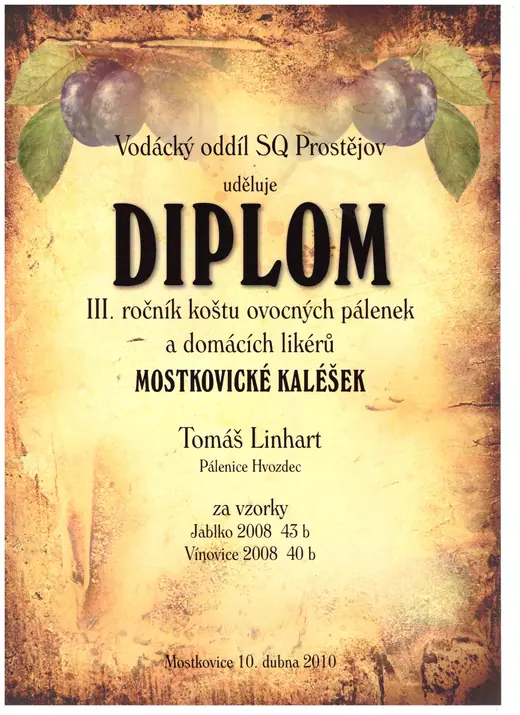 Diplom: 2010 Jablkovice / Vínovice